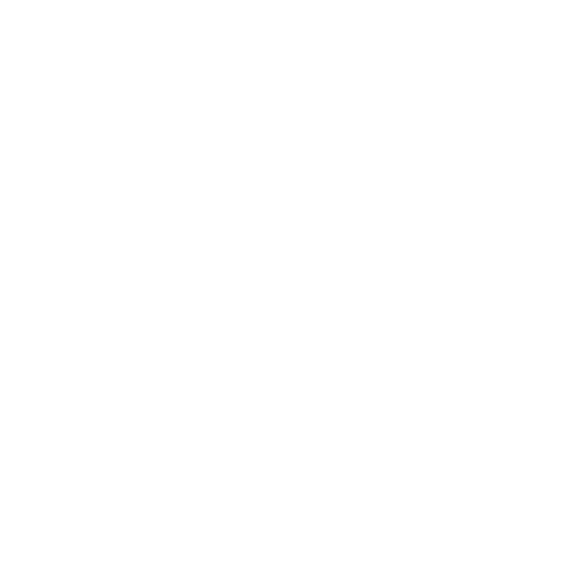 Dviora Logo